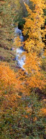 Naramata Falls through Autumn Trees 004