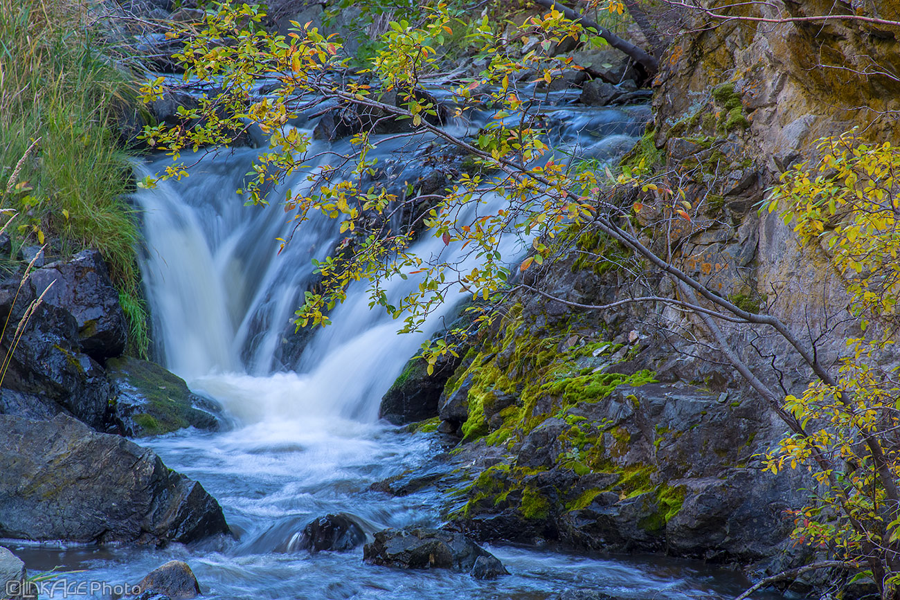 About John Barber LinkAge Photo Photographer